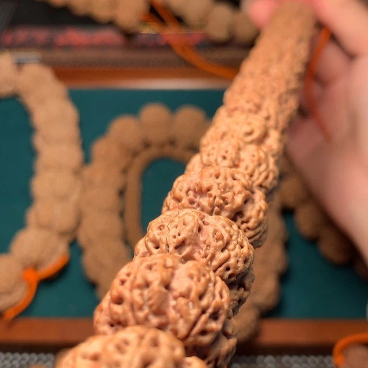 金刚菩提手串慵*丶20尺寸超头龙牙