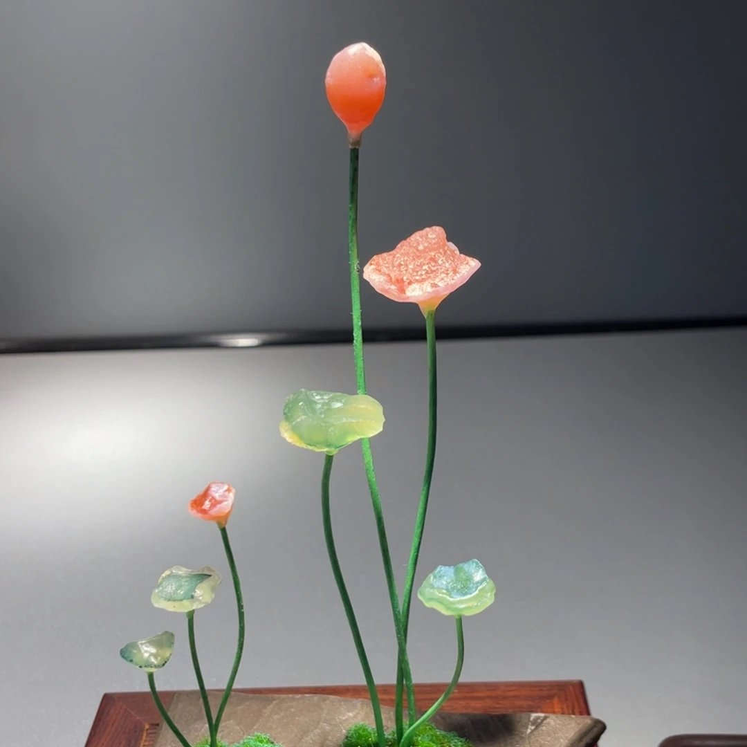 至***情石材阿拉善荷花小品组合