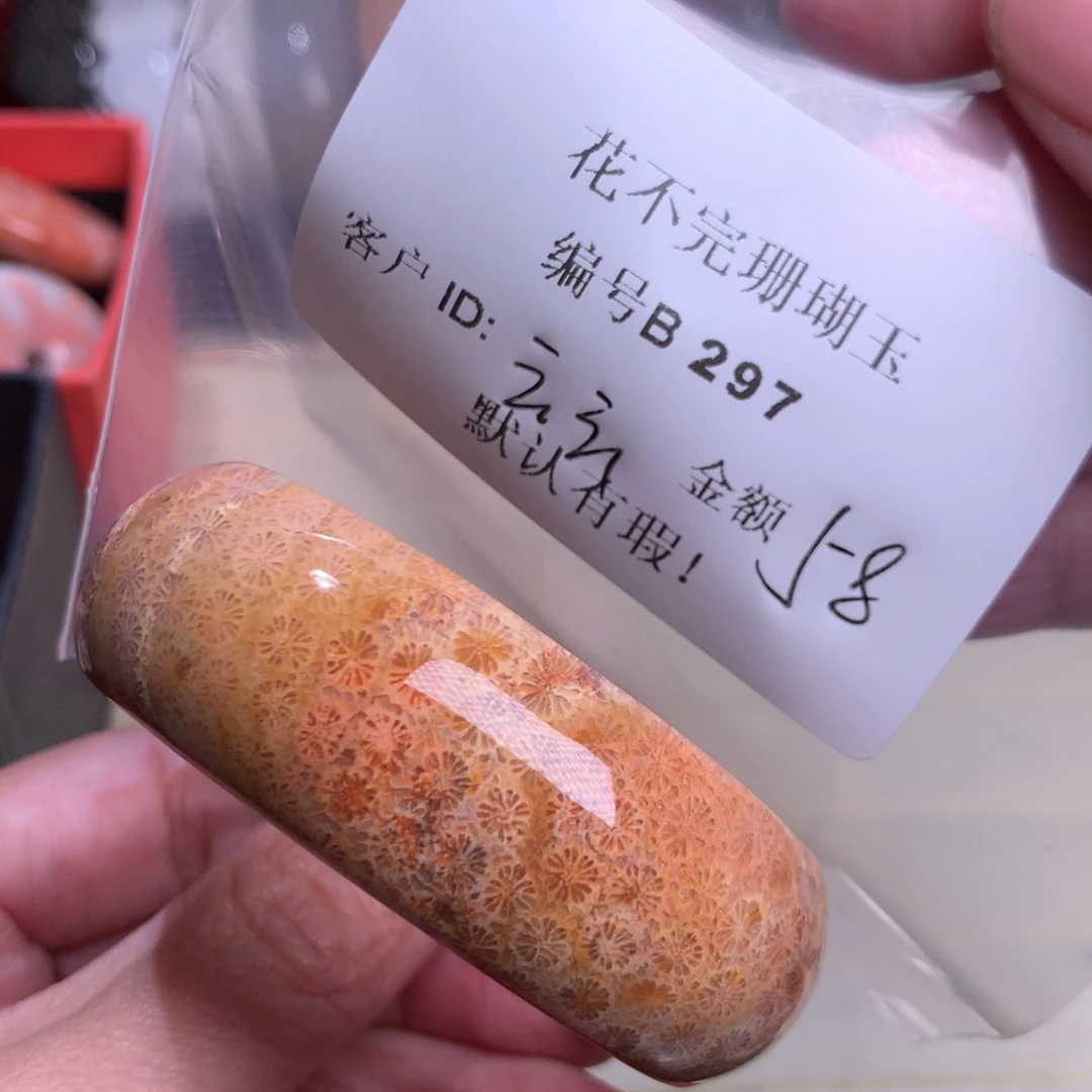 硅化玉颈饰未镶嵌*️**