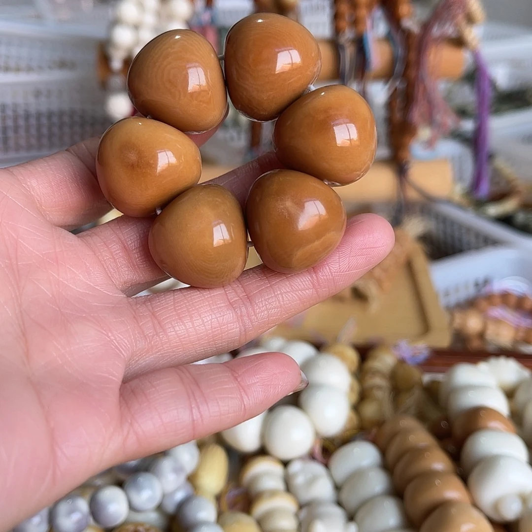 香榧木11111111111111