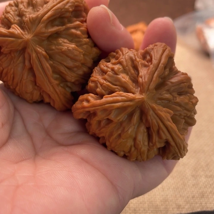 大***花核桃白狮子45核桃