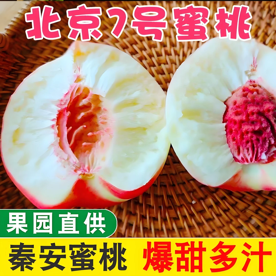甘肃秦安水蜜桃北京7号香甜新鲜现摘现发应当季孕妇水果9枚/12枚