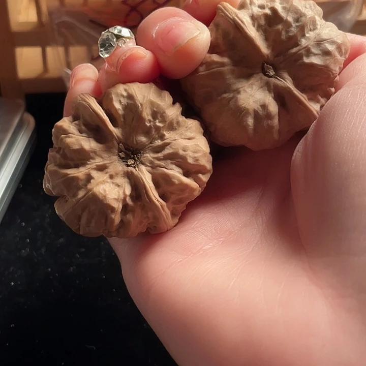 大叶紫檀（黑酸枝木类）