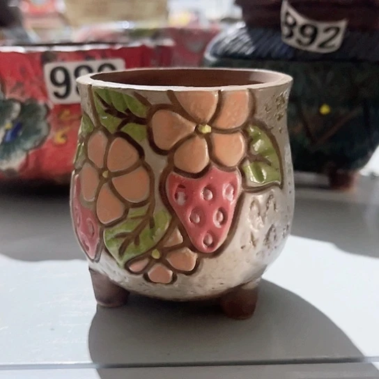 多肉植物花盆花盆