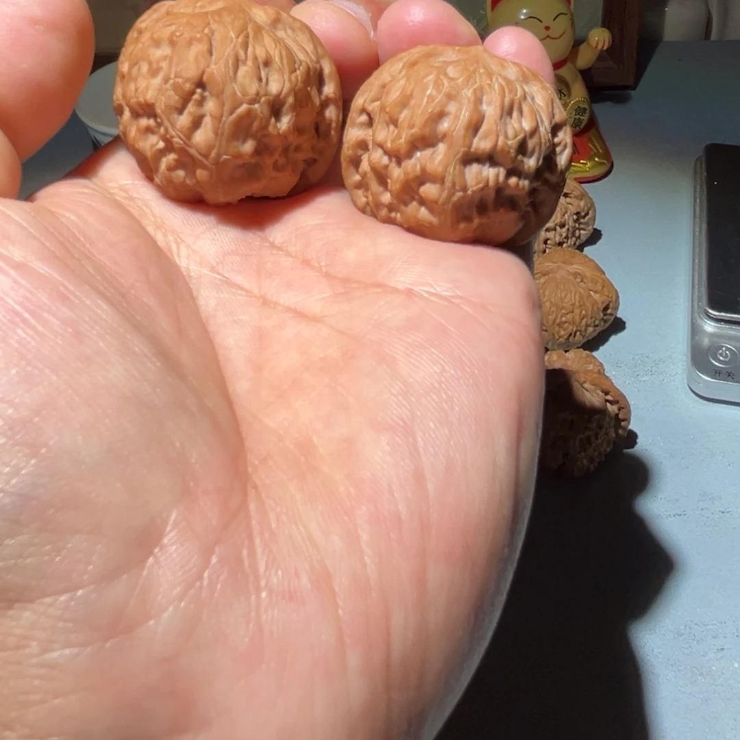 瑞麟文玩核桃山地无名野核 37.37.32