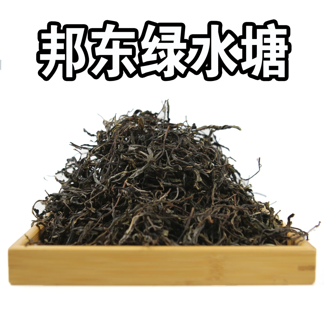 深山寻味记邦东绿水塘古树春茶 2024年 森林茶香甜柔苦涩轻柔