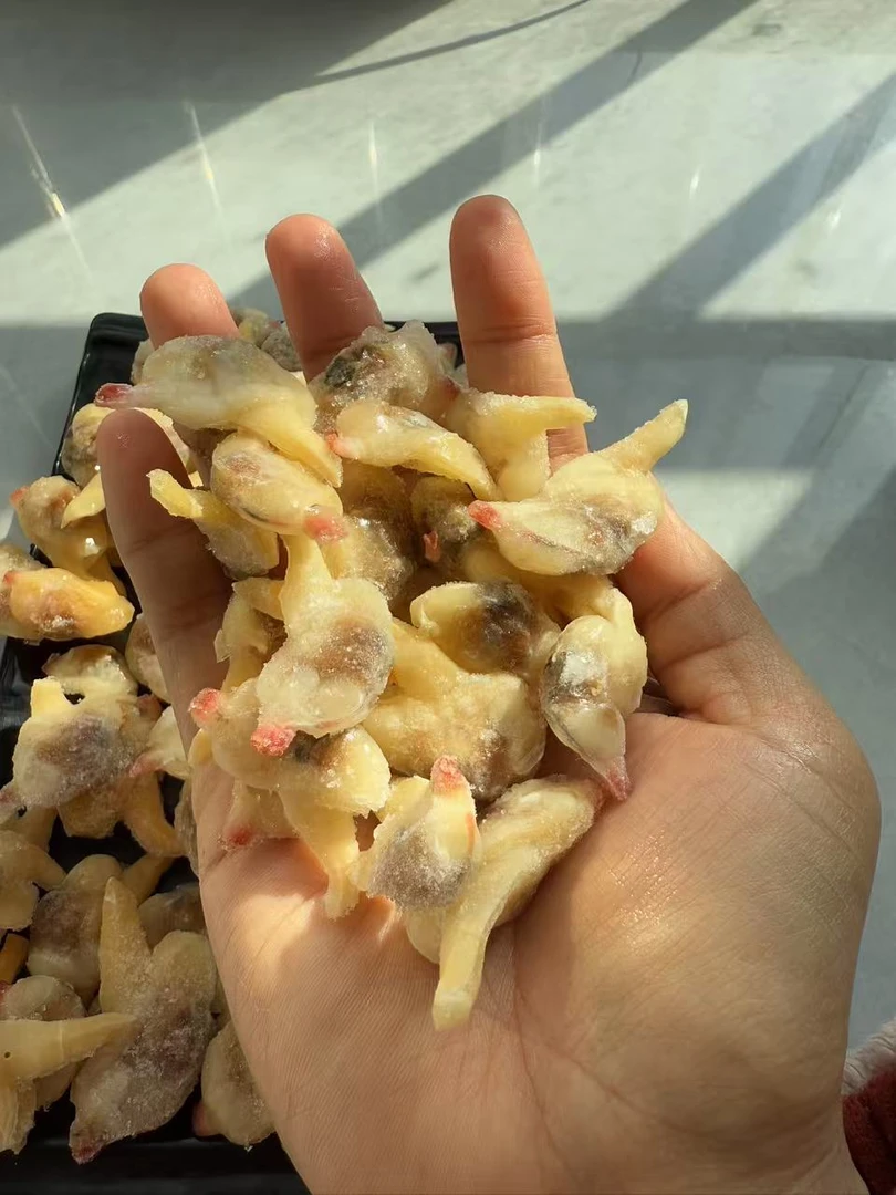 速冻蛤蜊肉新鲜干净 大个黄蚬子肉 200g/包海捕营养美味