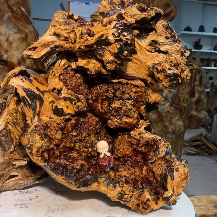 爱****你我们都是你的粉丝67