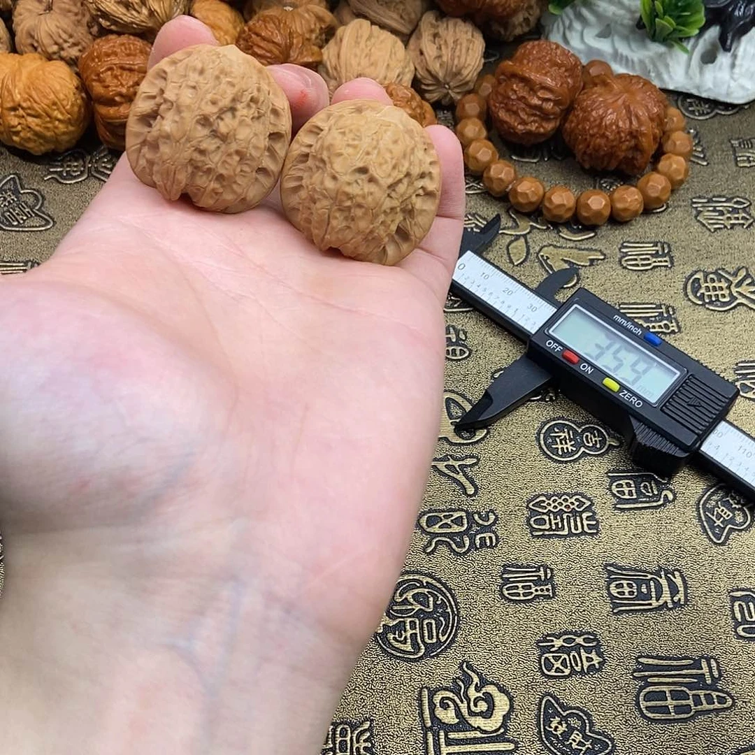 核桃血麒麟35+尺寸编号280