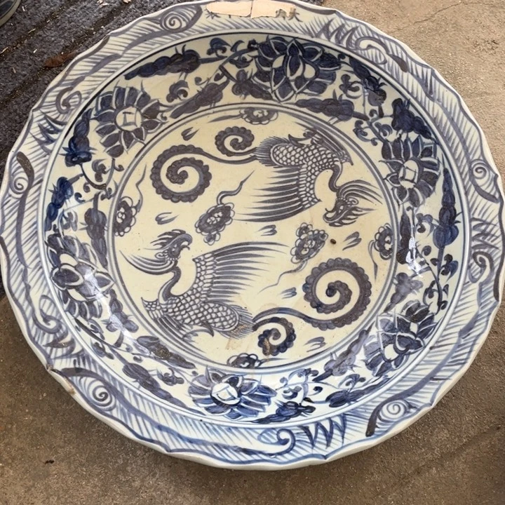 欢迎大家来看我欢迎大家来看我的小可爱