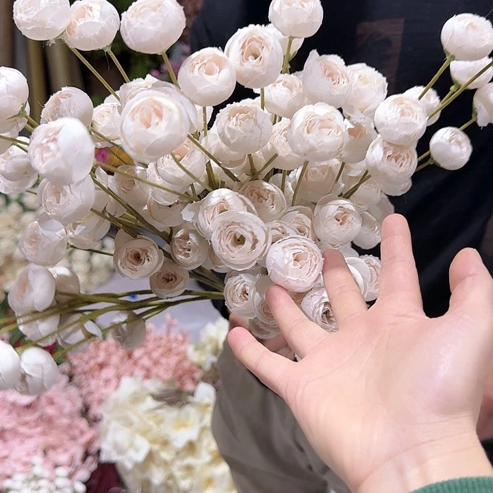 玫瑰茶包9头米白色10支装