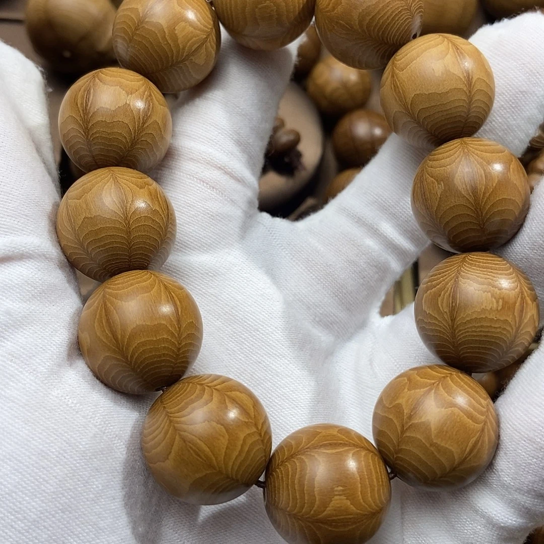 小***哥六道木山西五台山