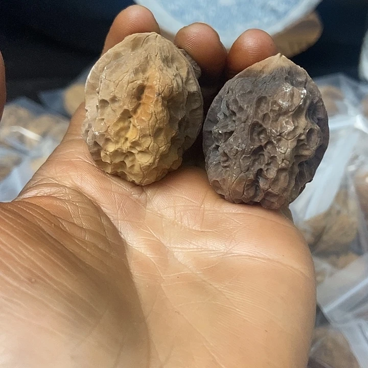 把件文玩核桃云南铁核桃基地63