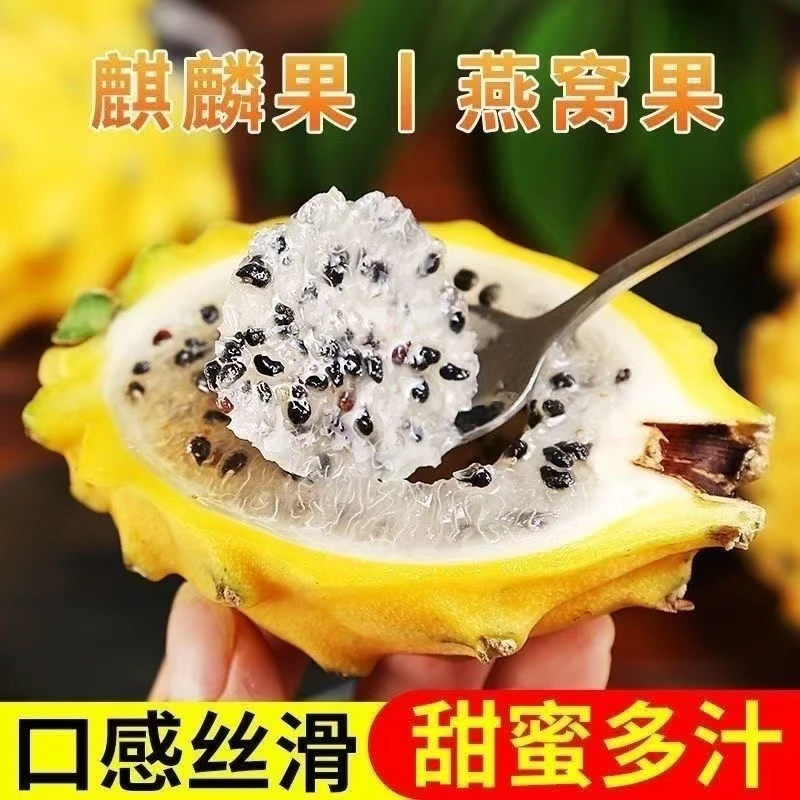 正宗西双版纳燕窝果新鲜水果云南新鲜燕窝果产地直发3斤