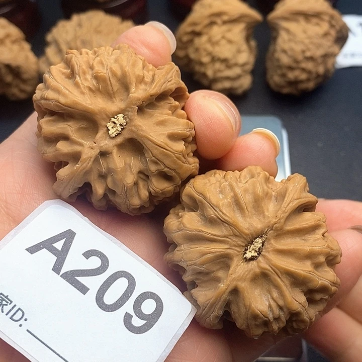 核桃苹果园4:3，000000