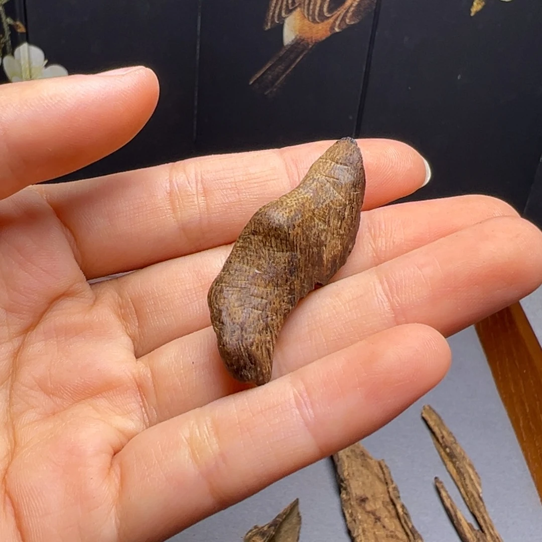 沉香沉香碎屑海南沉水熟结鸡母虫漏2.4克