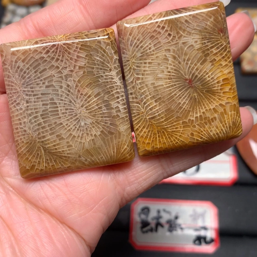 【闪购商品】硅化玉颈饰未镶嵌喜****°