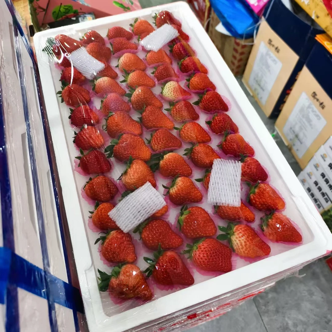 超大5排丹东久久草莓 发1板毛重4.7斤左右