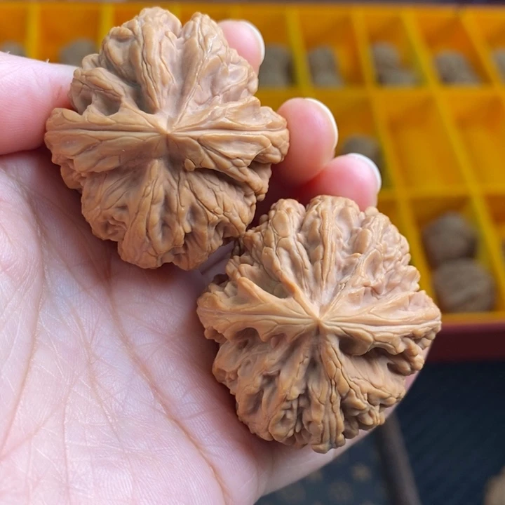 把件文玩核桃红锦鲤42尺