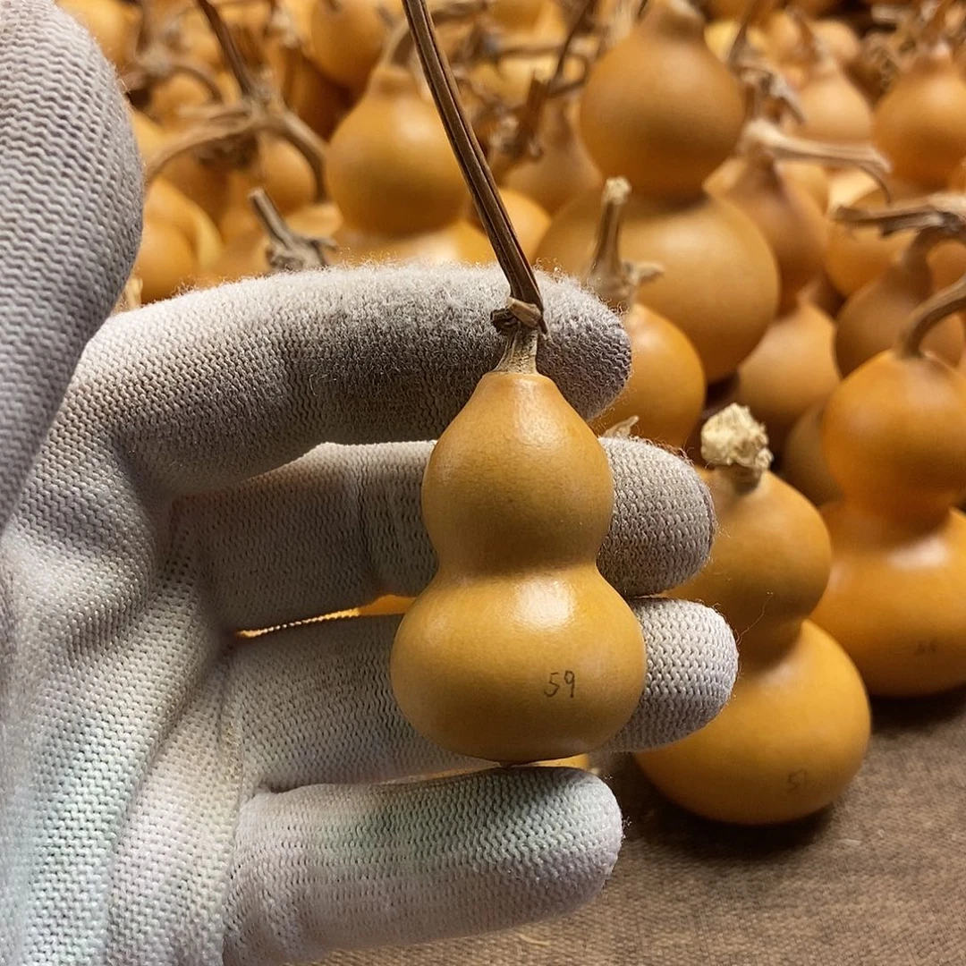 文玩葫芦 完美主义者 慎拍59