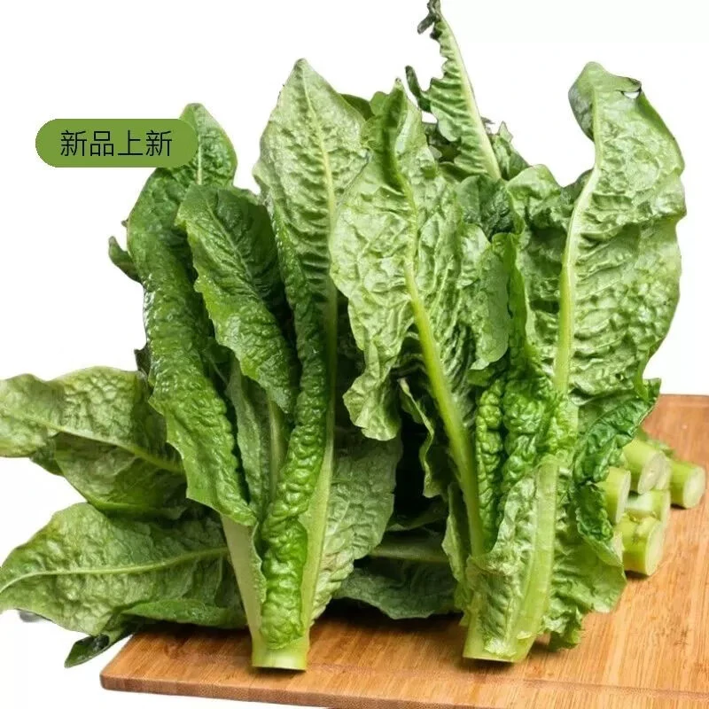 （窝笋）农村自种窝笋叶4斤