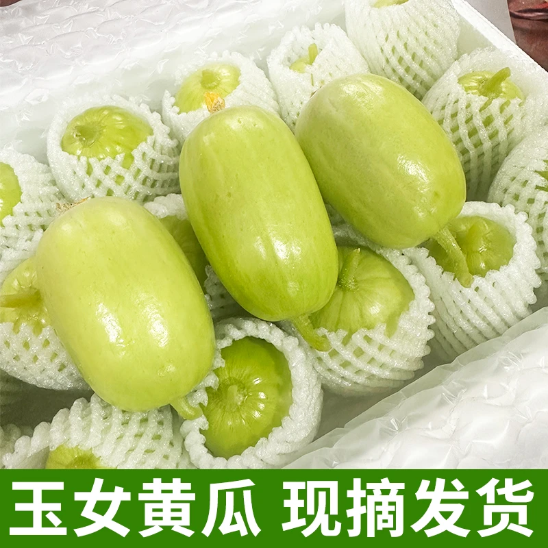 （牛老板专属）玉女黄瓜水果小黄瓜新鲜拇指黄瓜生吃食用农产品