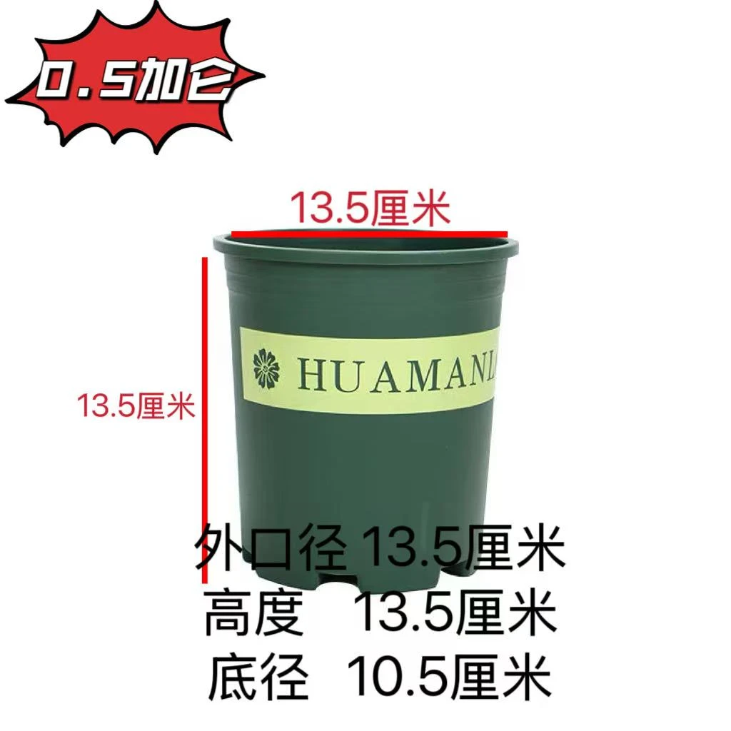 0.5加仑花盆 云南昆明鹏哥多肉基地质量保证好养好活空气可爱