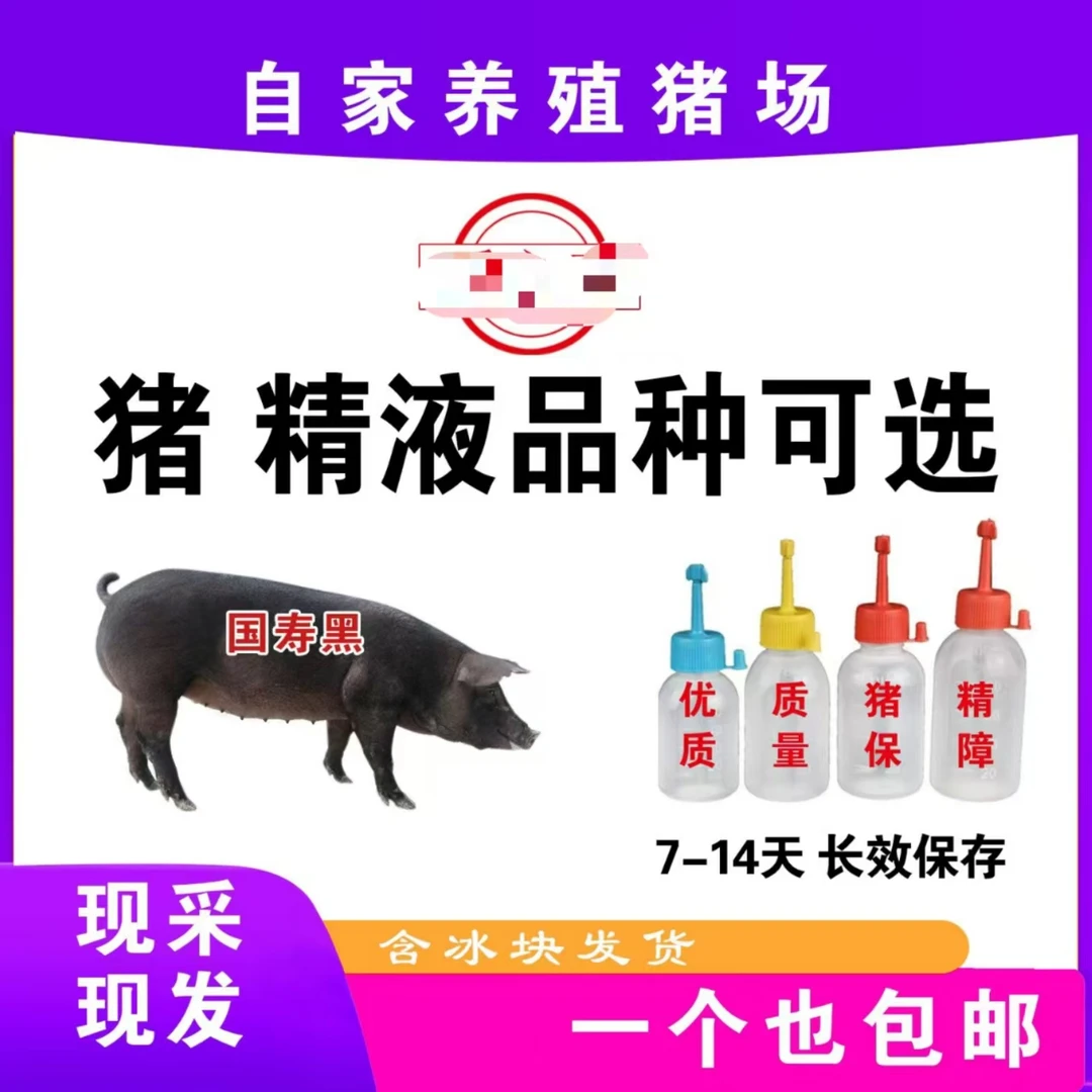 精品国寿品质好生态养殖好选择精品国寿品质好生态养殖好选择猪精