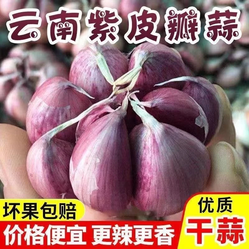 云南大理紫皮干大蒜头1/10斤包邮红皮独头多掰蒜可种老品种红蒜头