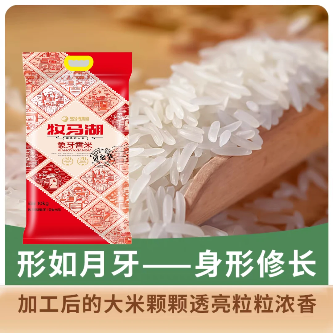 牧马湖象牙香米10kg当季新米20斤长粒米丝苗米大米香米【好米之家】