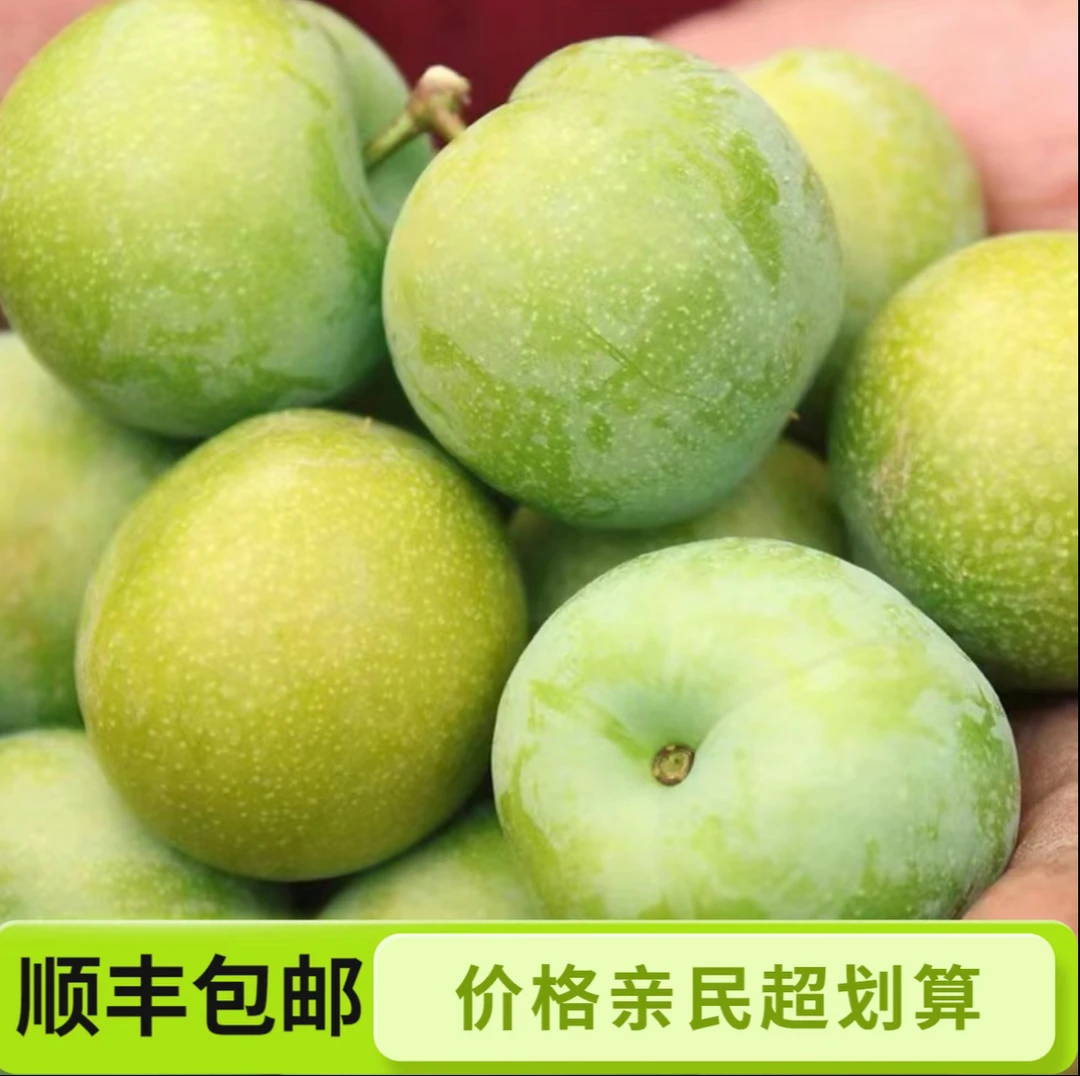 贵州脱骨青脆李新鲜当季水果脆甜多汁果园直供包邮