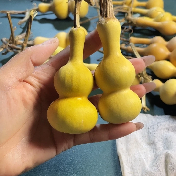 无***哈大叶紫檀（黑酸枝木类）