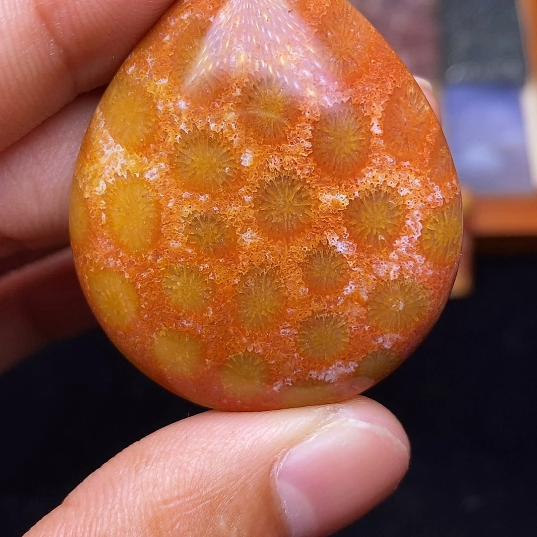 T***y合金珊瑚玉硅化玉