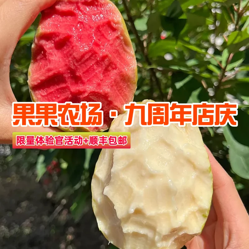 【果果农场九周年店庆预热】广西双拼红白心芭乐软糯番石榴顺丰包邮
