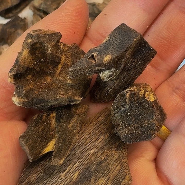 沉香碎屑沉香彧*12克，树丁