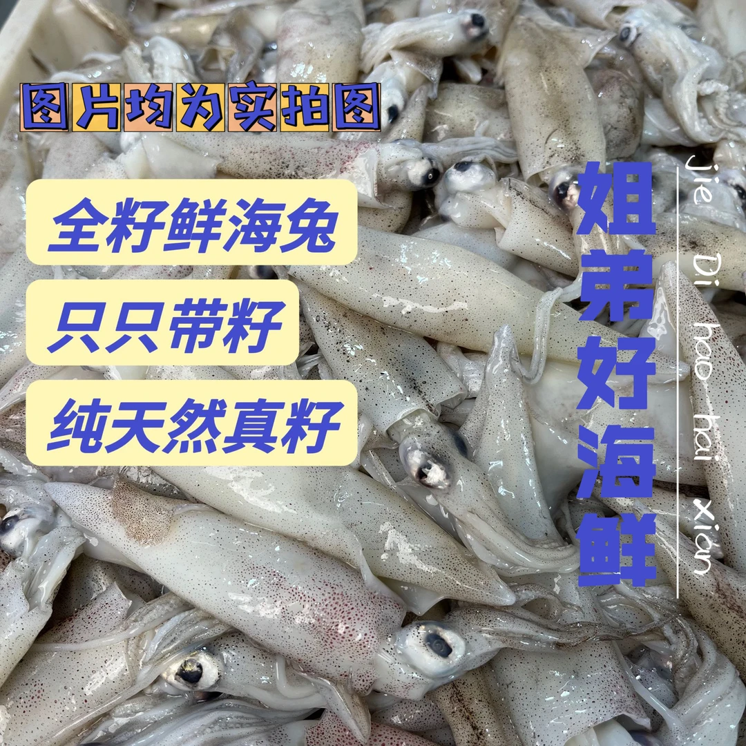 Y【只只满籽】精品海兔纯天然真籽【非人工注籽】约15只/斤无冰净重