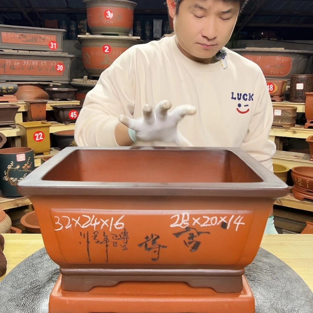 紫砂花盆感谢政府