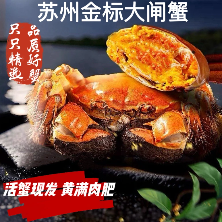 【苏州金标活蟹】大闸蟹蟹王蟹后公5.3~5两母4.3~4两8+2到手5对10只