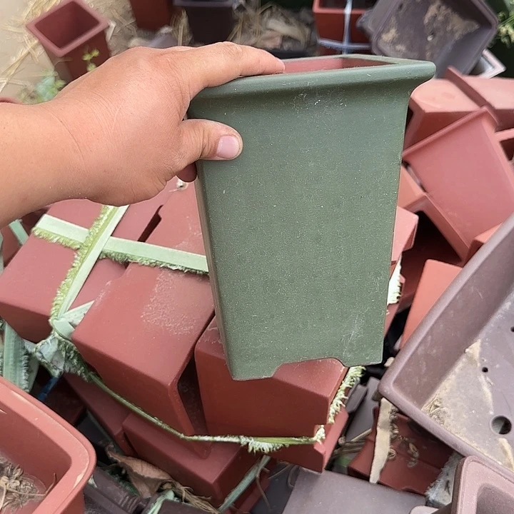 一天只喝一点奶茶和