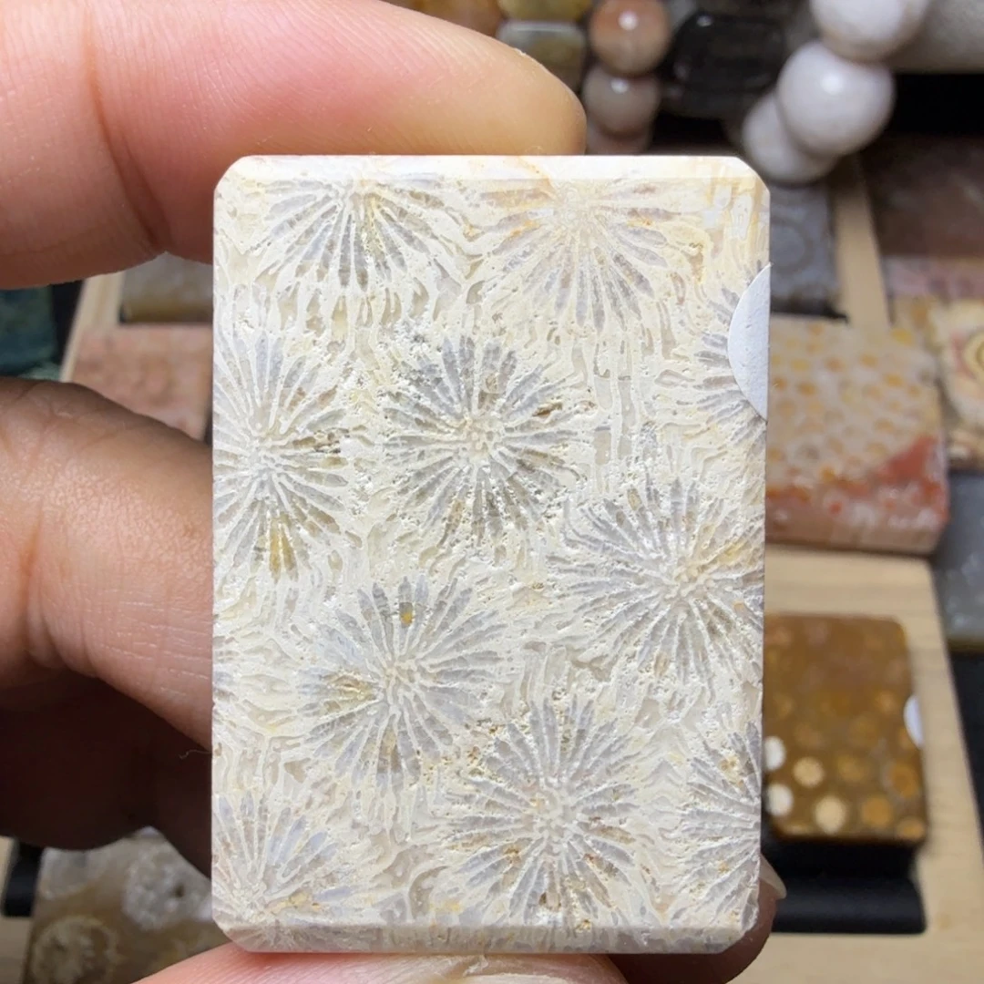 硅化玉未镶嵌纯天然色有机玉石保真色