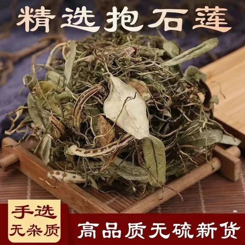 中药材精选正品抱石莲抱石连抱树莲瓜子菜金龟藤瓜米菜飞莲草包邮