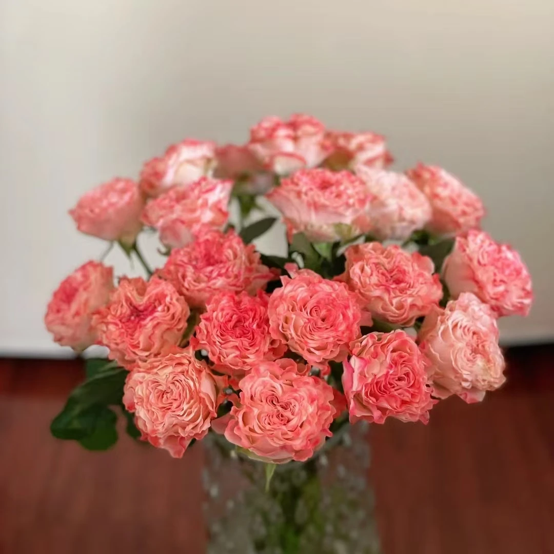 【轶1】单头小仙女18支+2支防损鲜切花玫瑰居家鲜花 收到带包装醒花