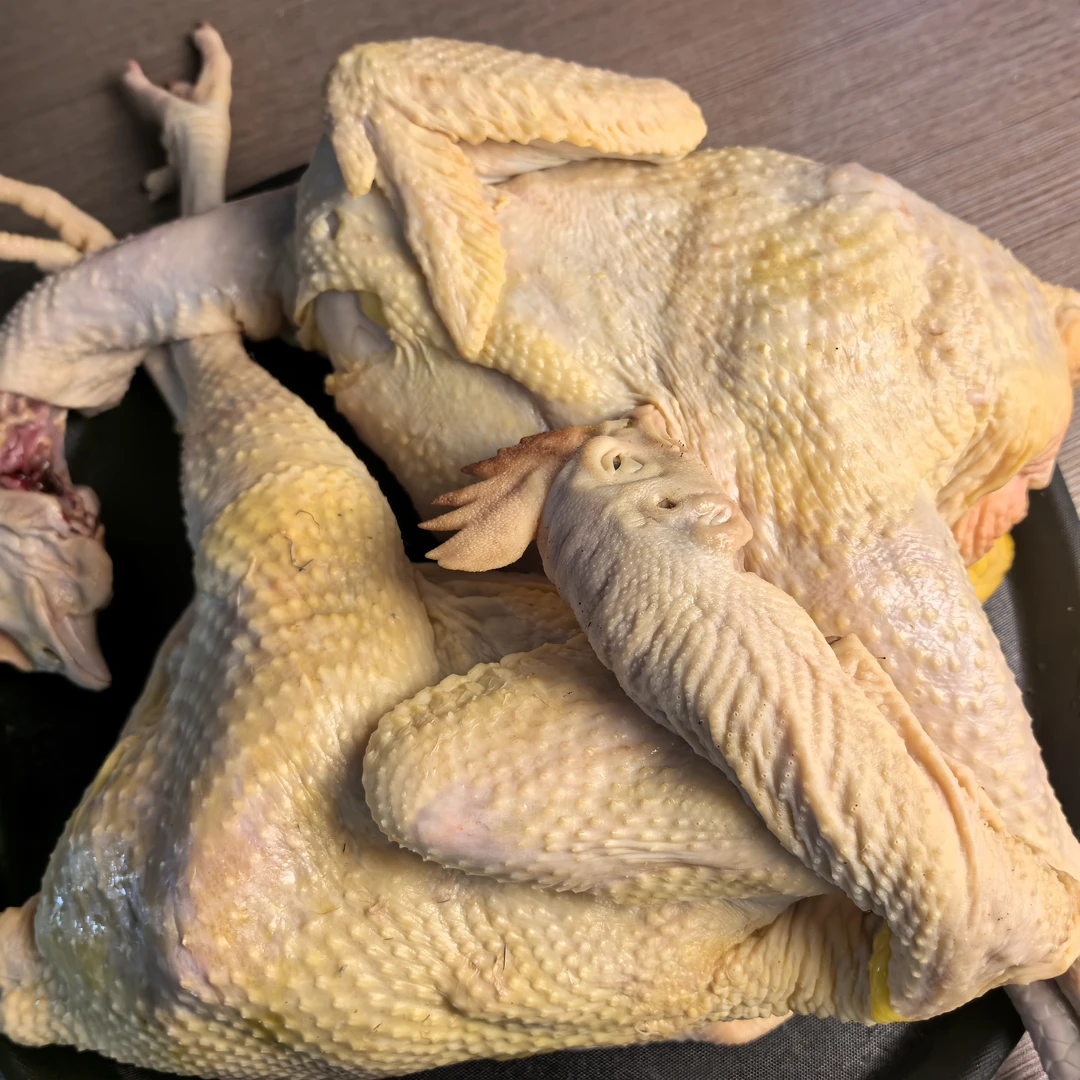 【溜达鸡】内蒙古草原溜达鸡整老母鸡3斤起拍