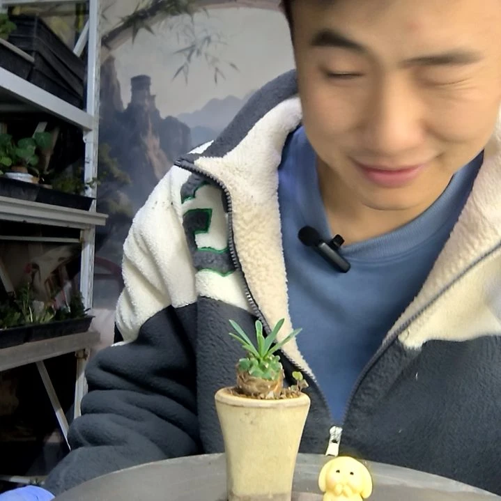 阳***o中青园艺一物一拍196
