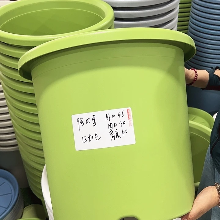 特价9号四季口46高40果绿无托2只