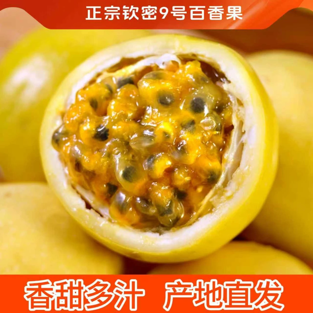 正宗钦蜜9号黄金百香果水果产地发当季新鲜水果纯甜无酸果园现摘