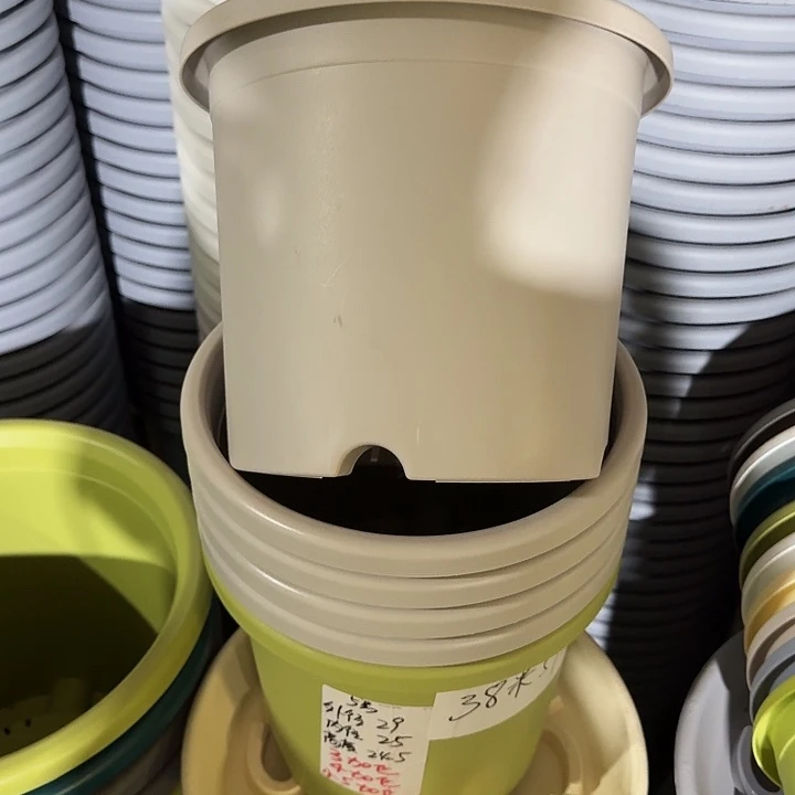 微瑕5#灰白6个无托