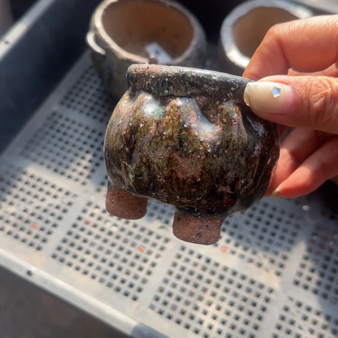 北遇一物一拍宝哥