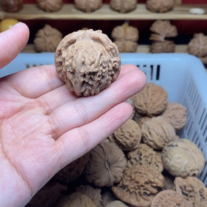 且***语文玩核桃把件文玩