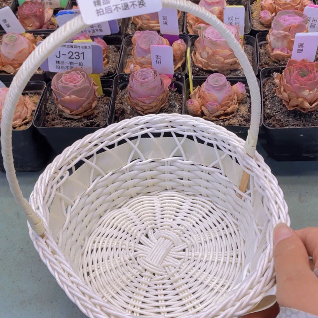 舒***舒花篮一个J289一物一拍